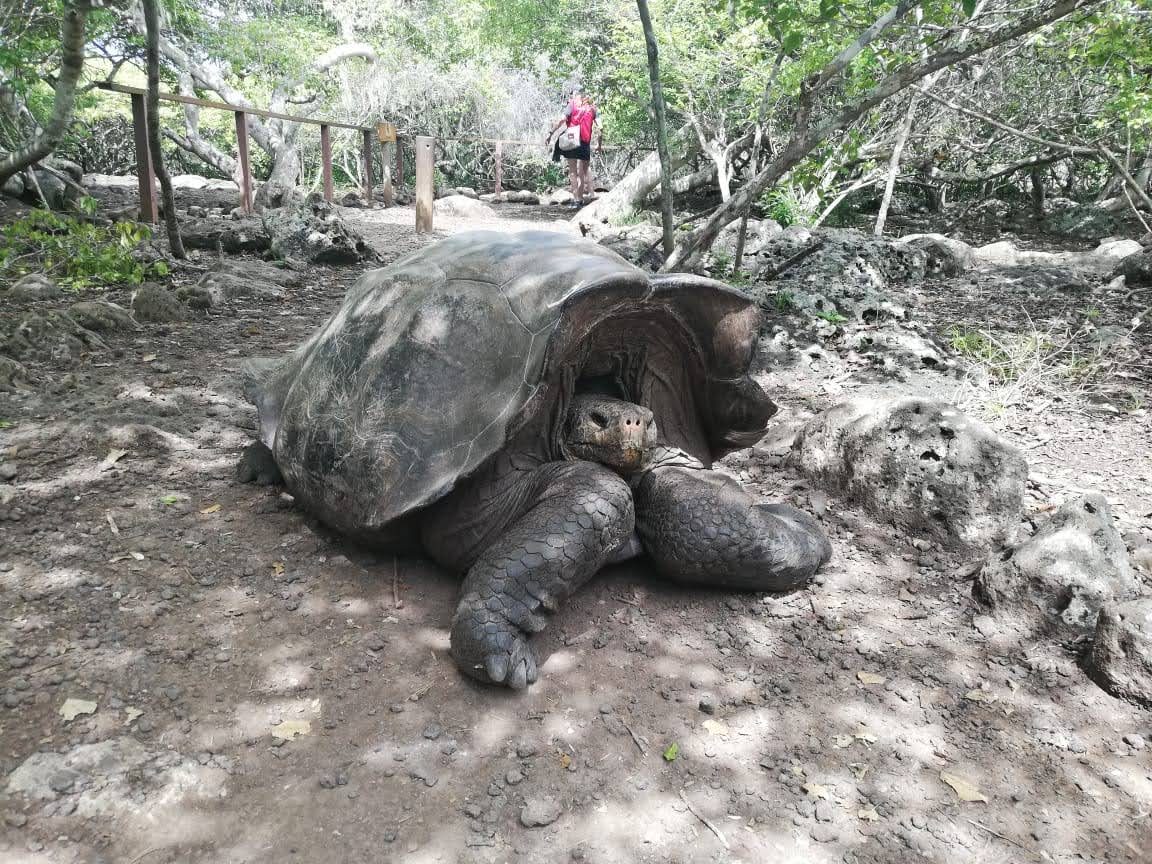 Foto Galápagos #5