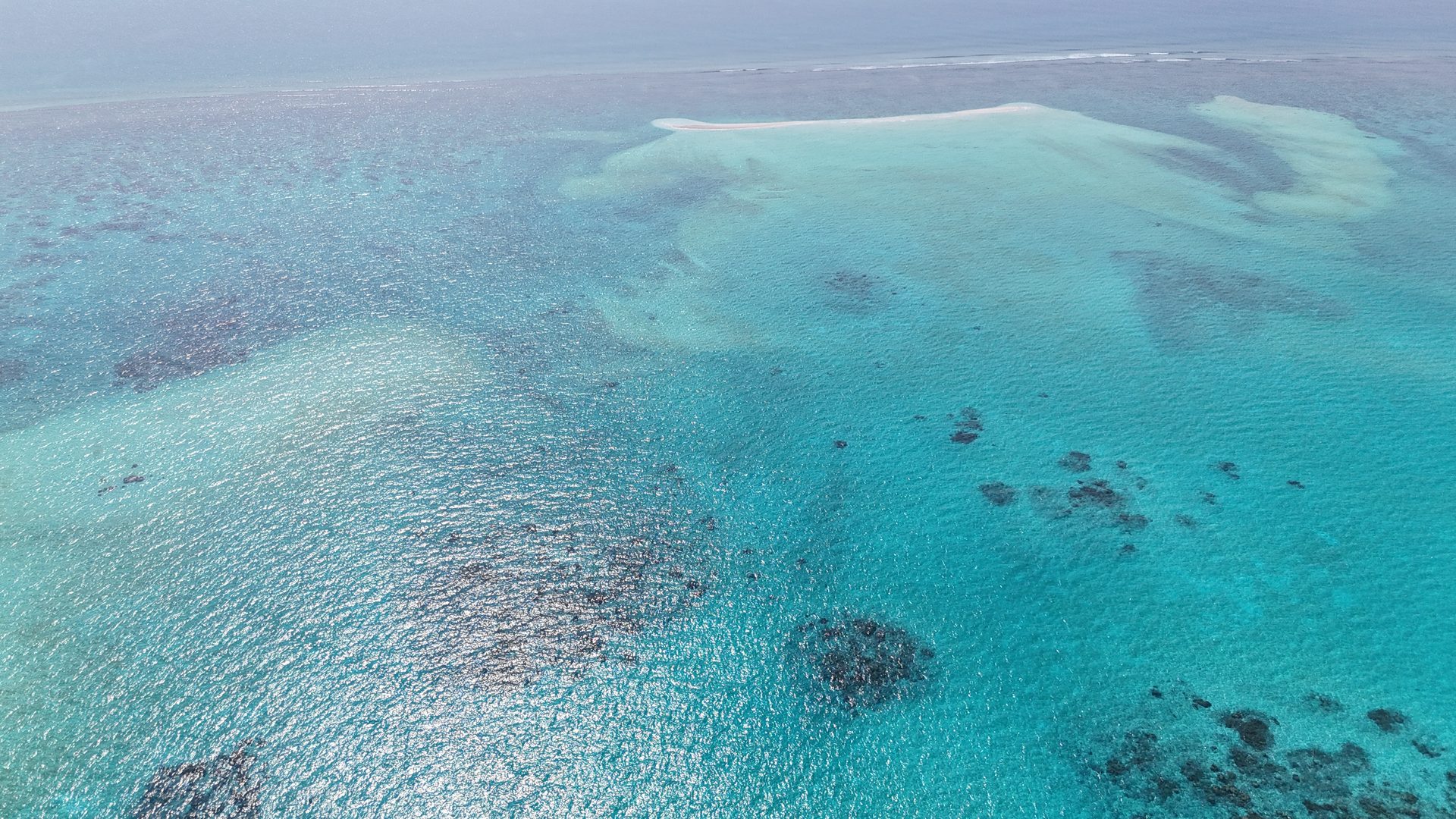 Foto Maldive #1