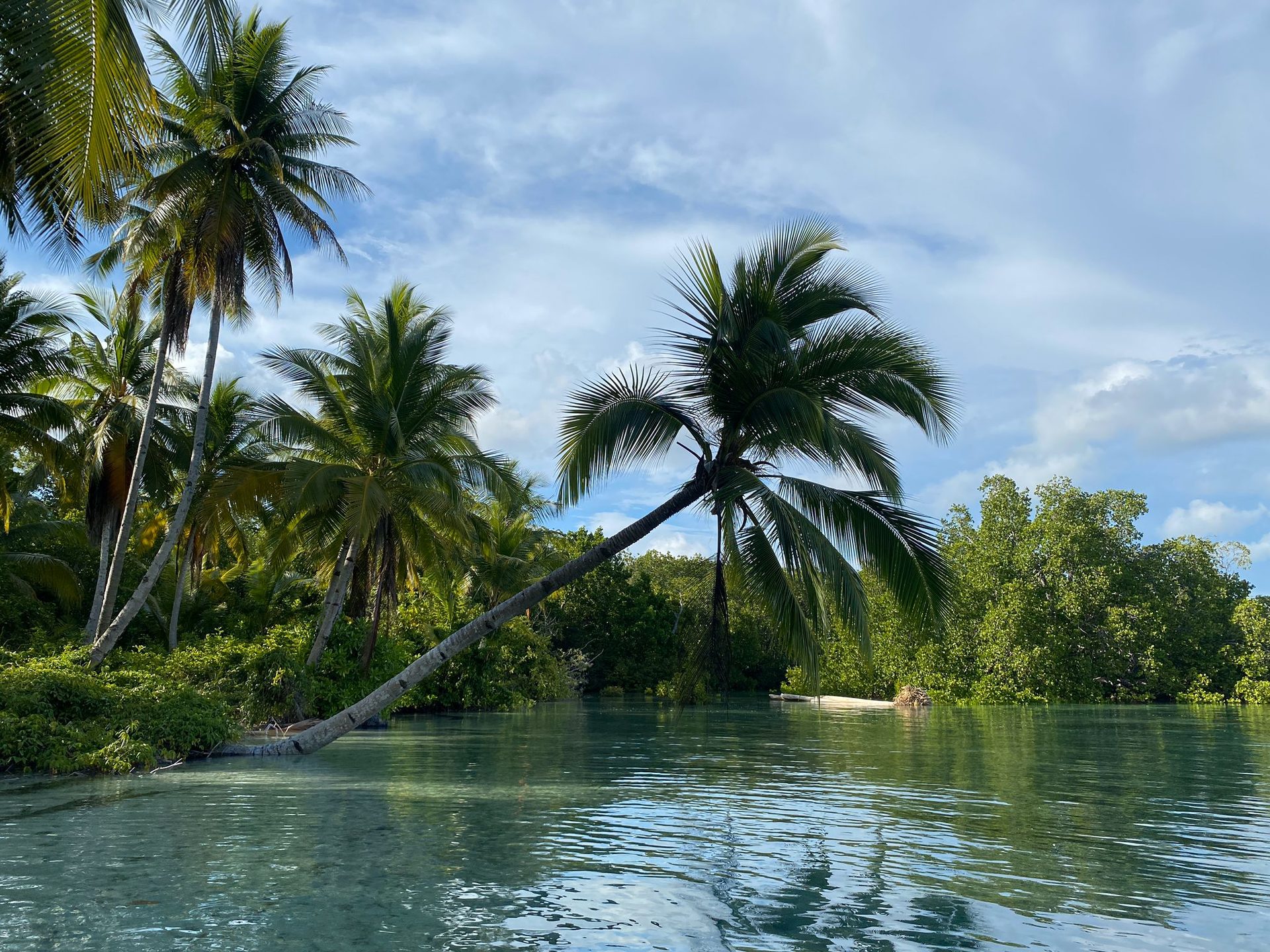 Foto Isole Salomone #3
