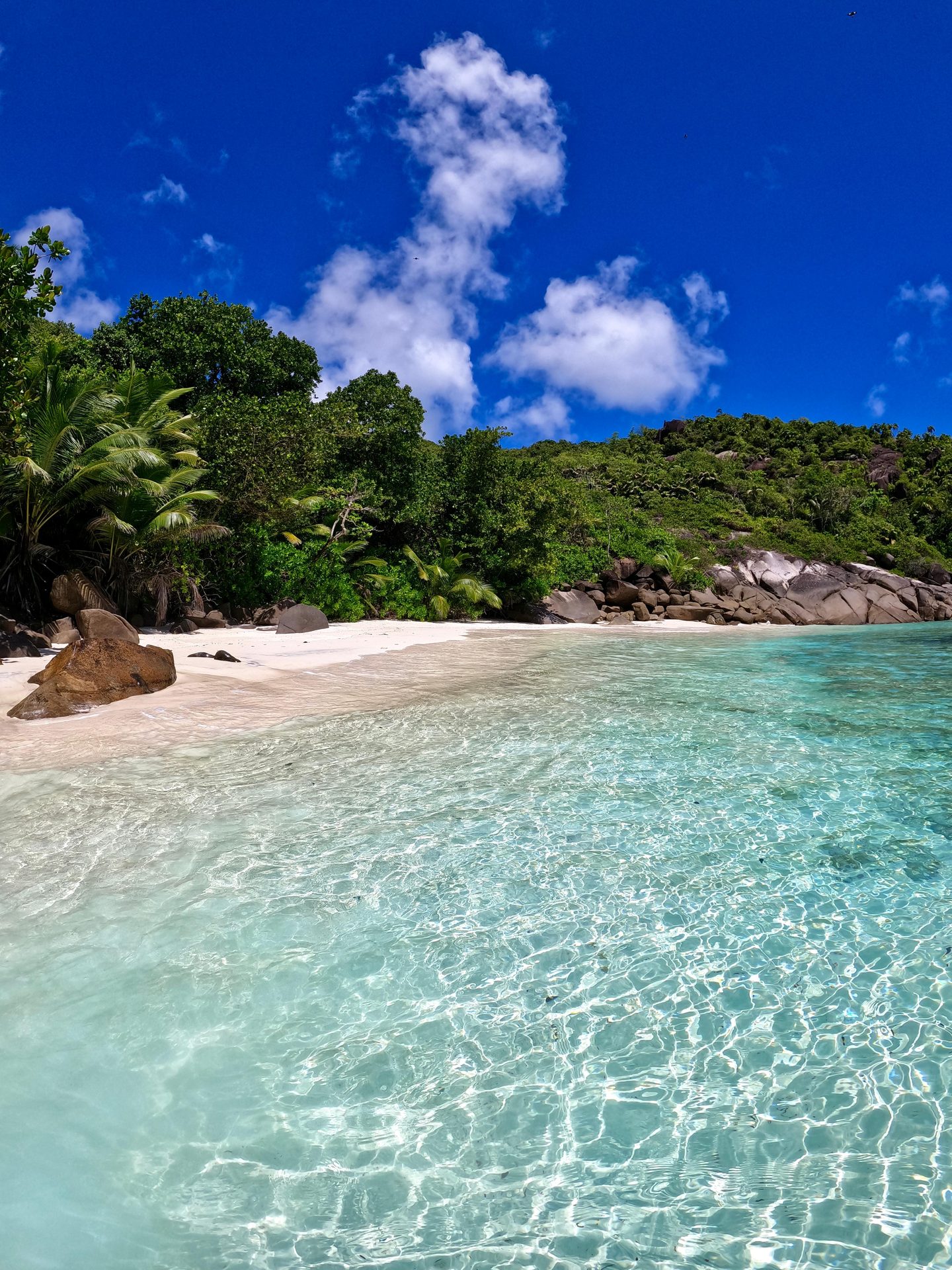 Foto Seychelles #12
