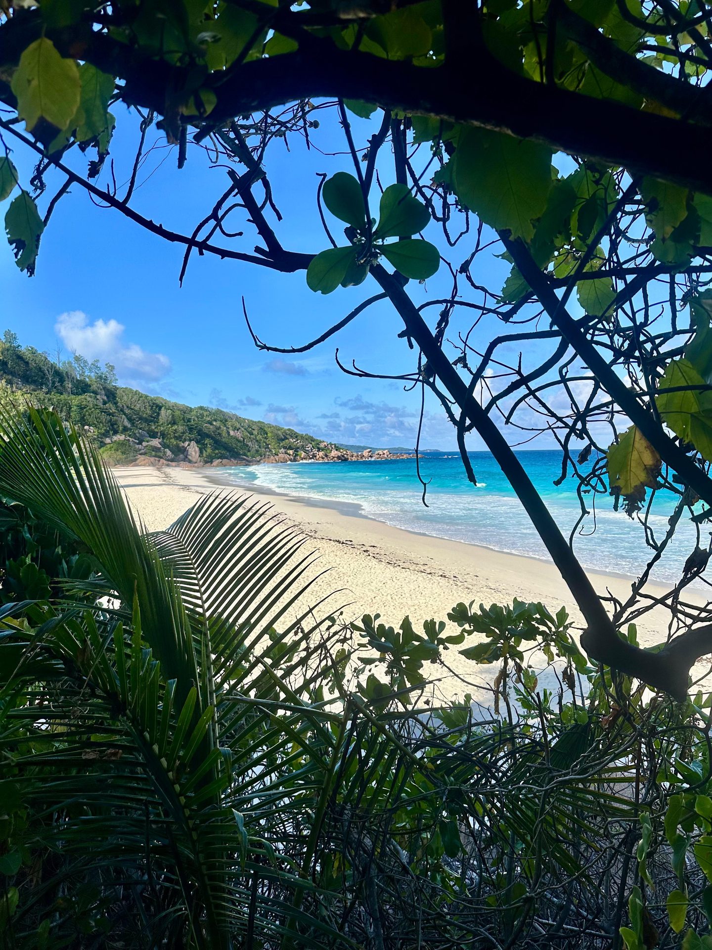 Foto Seychelles #13