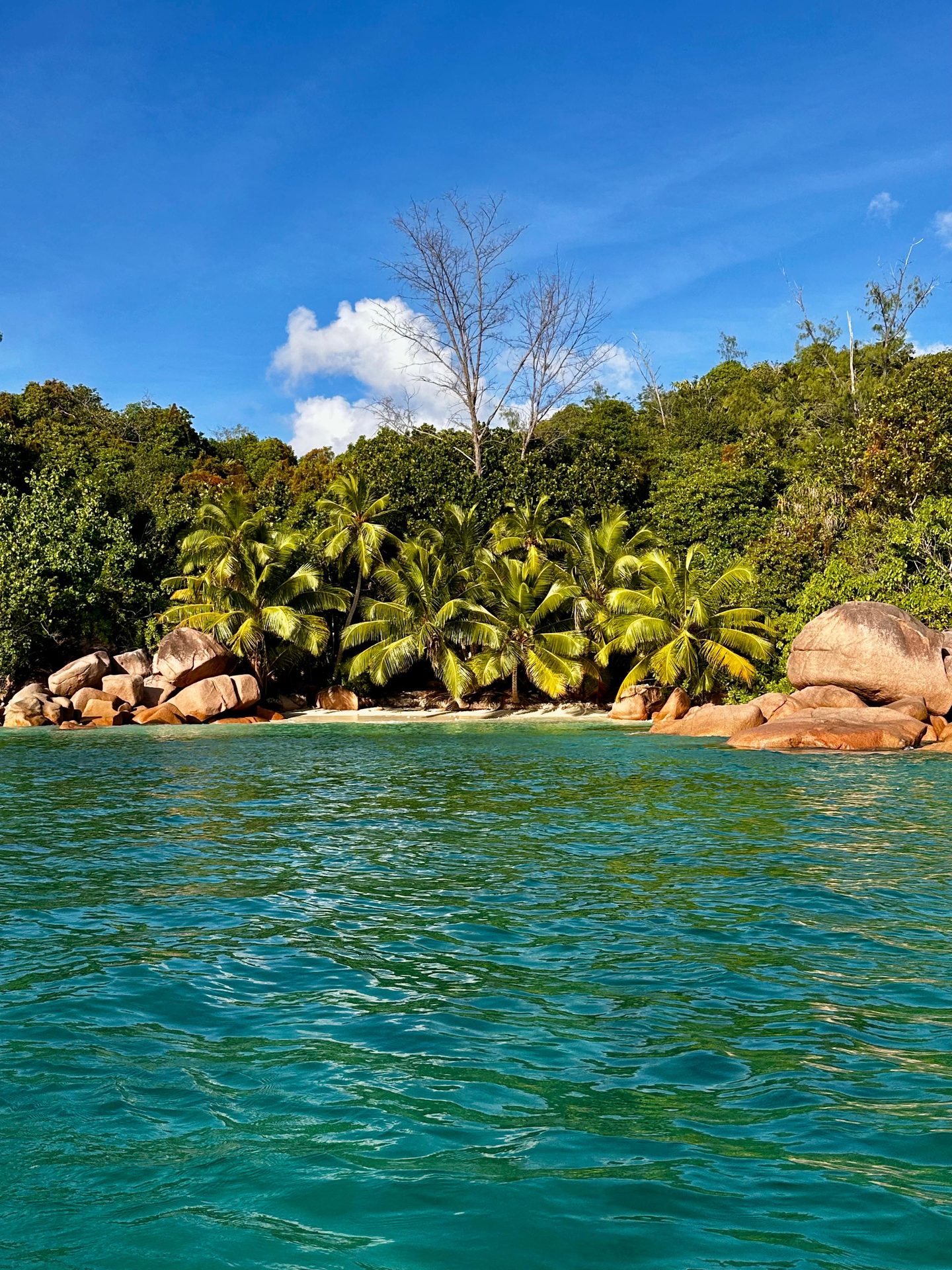 Foto Seychelles #16