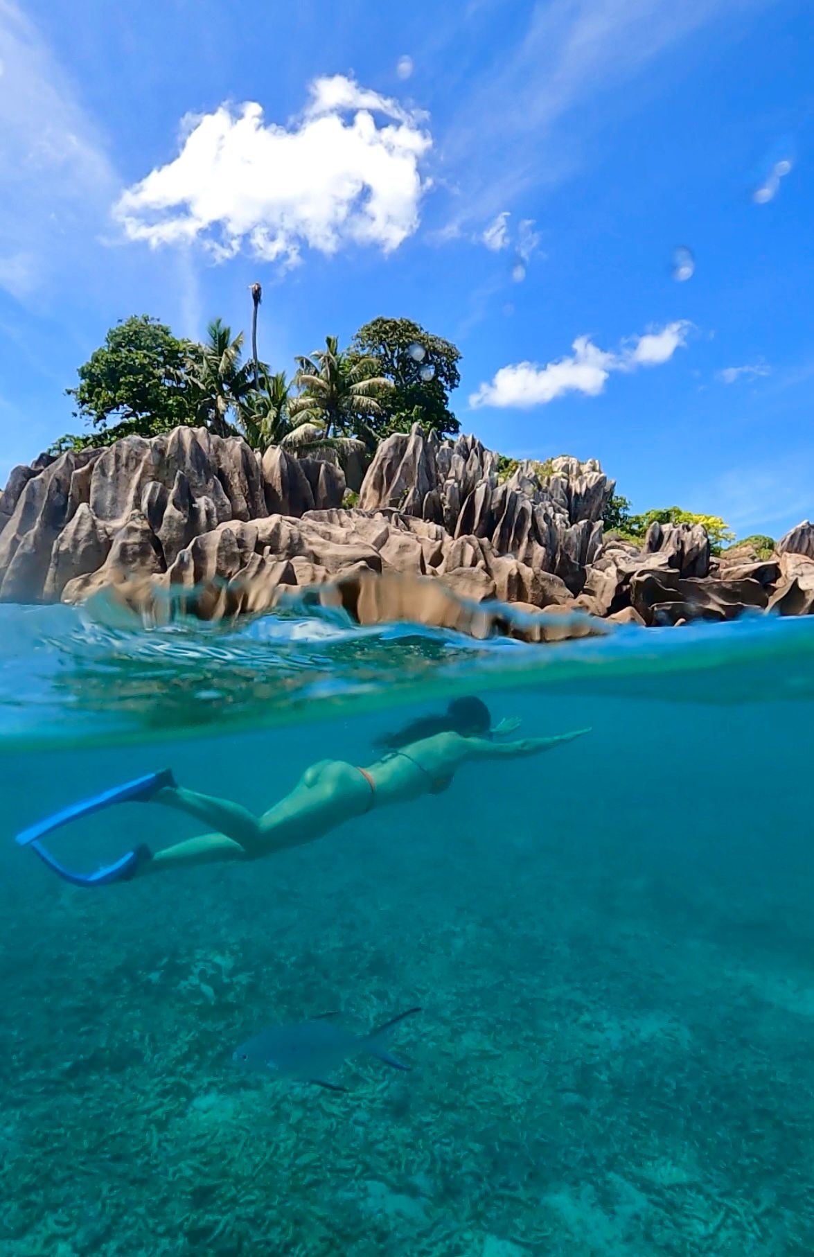 Foto Seychelles #17