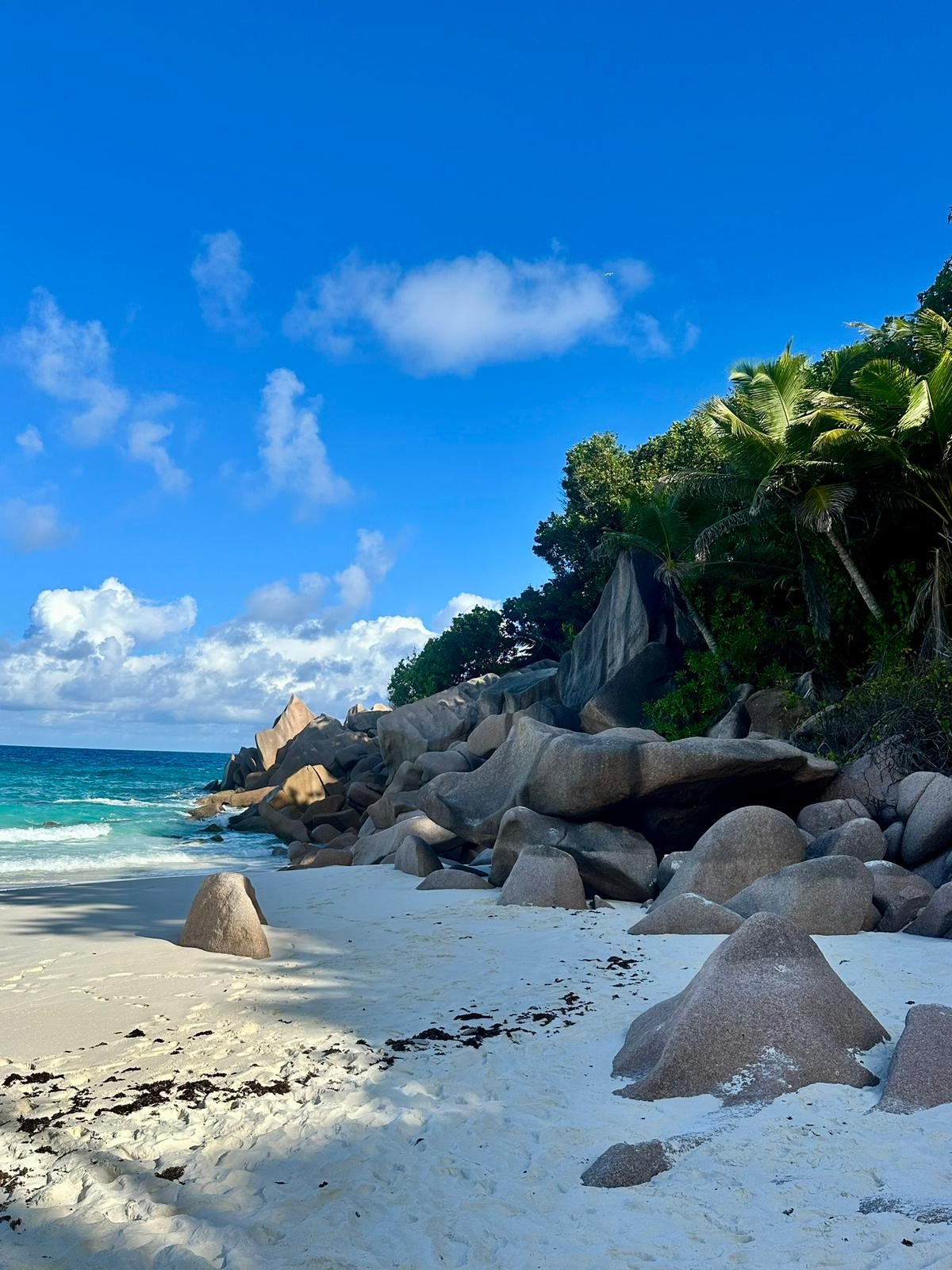 Foto Seychelles #7