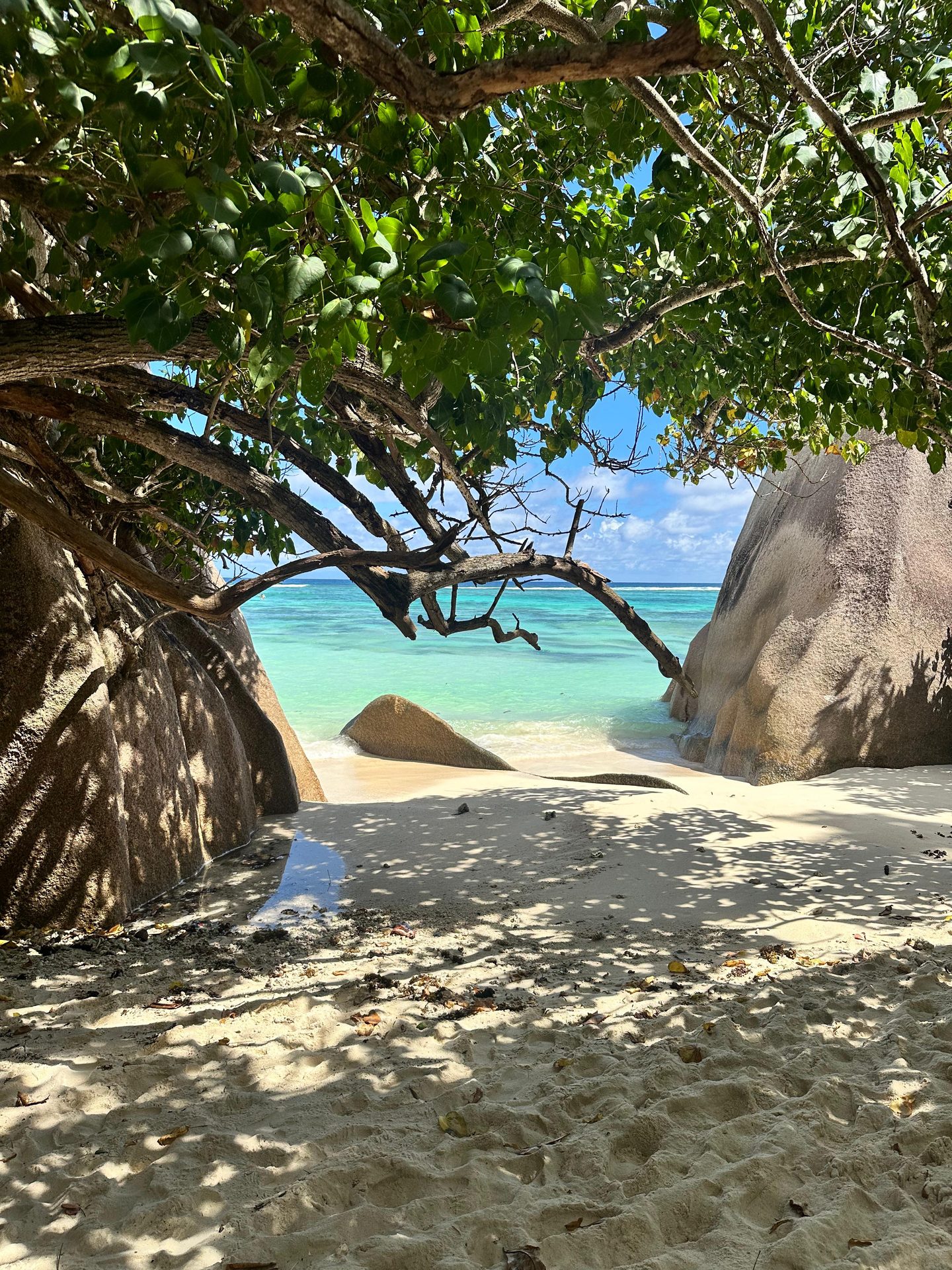 Foto Seychelles #9