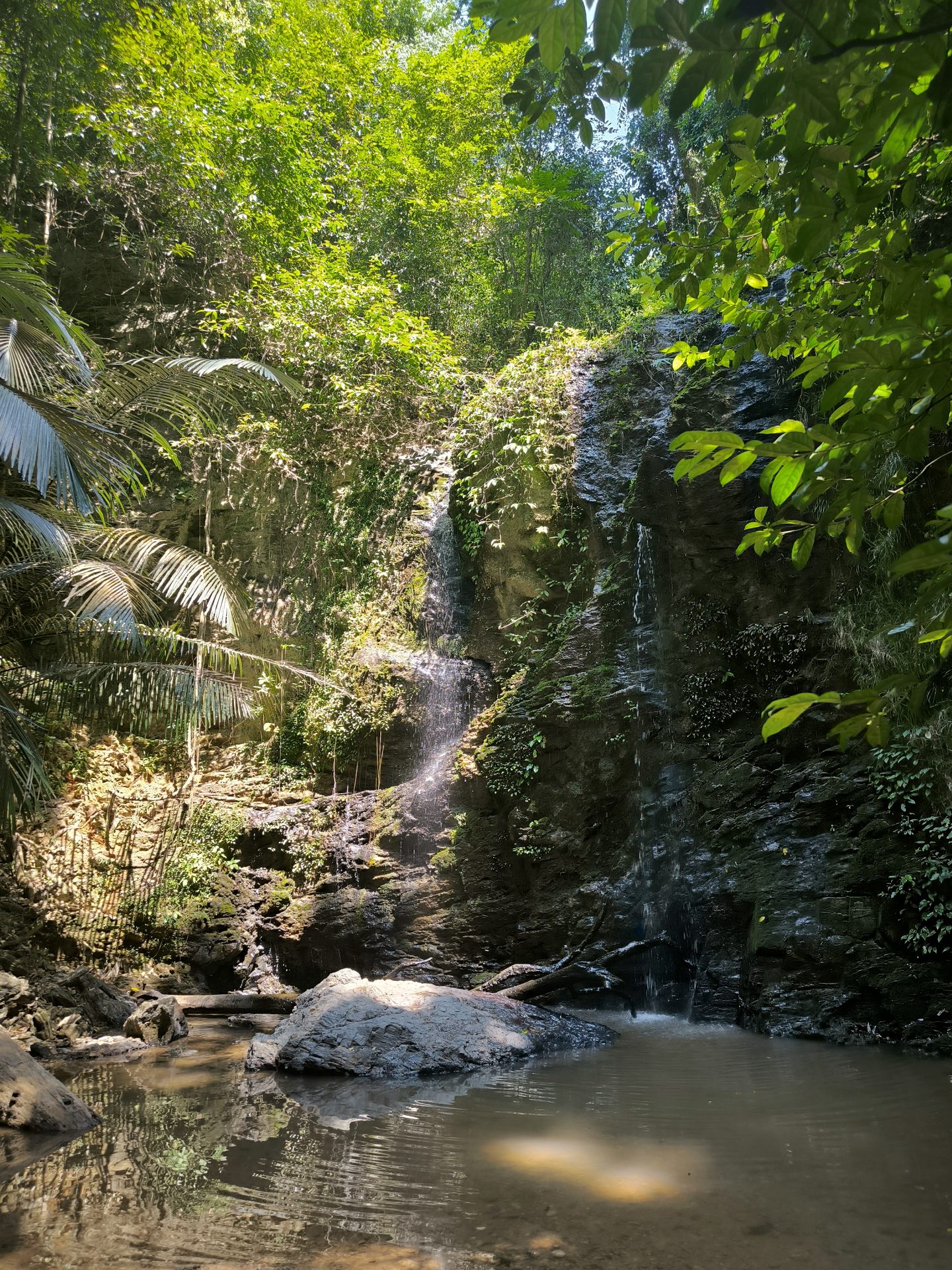 Foto Thailandia #5