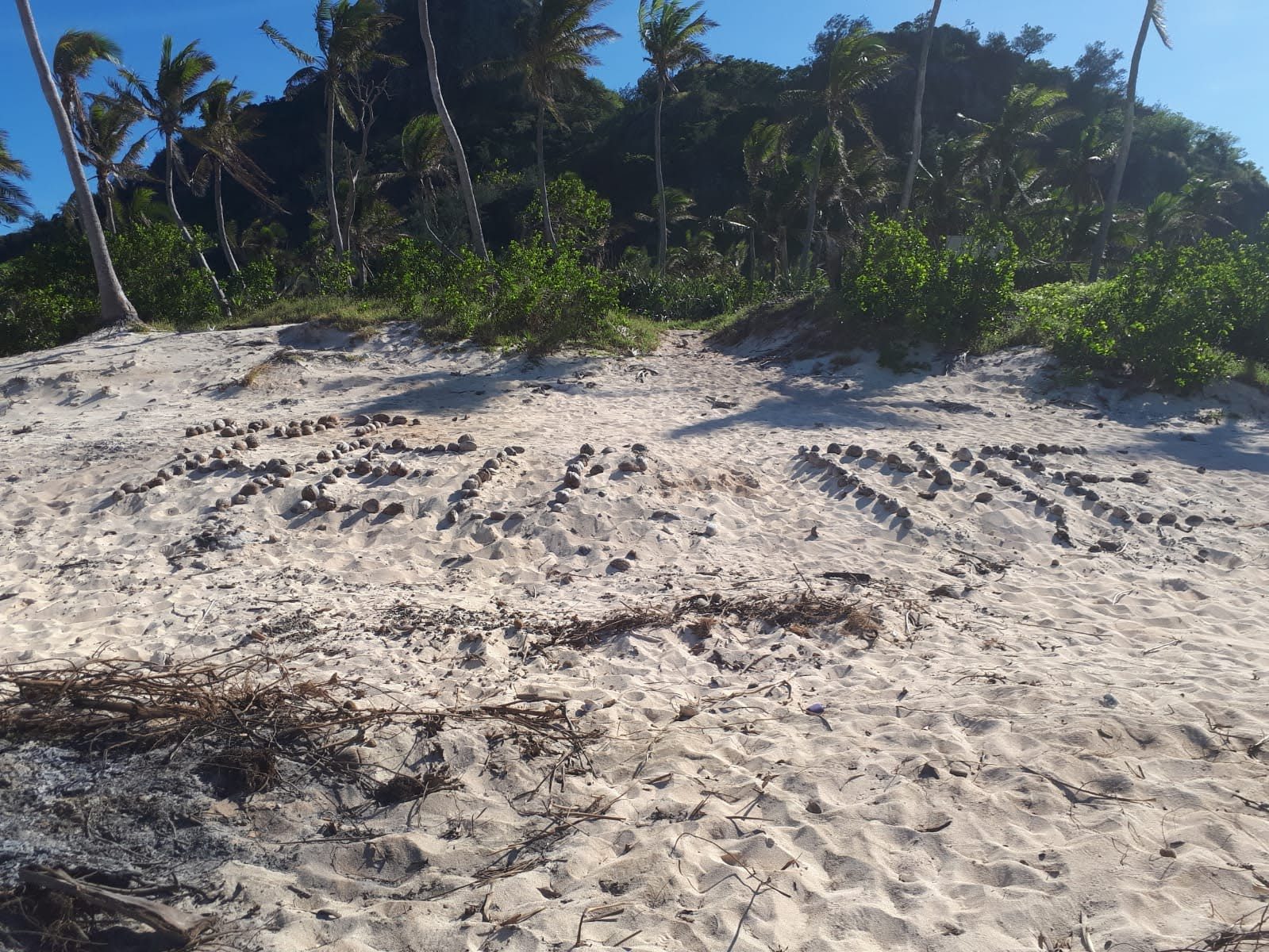 Foto Tonga #1
