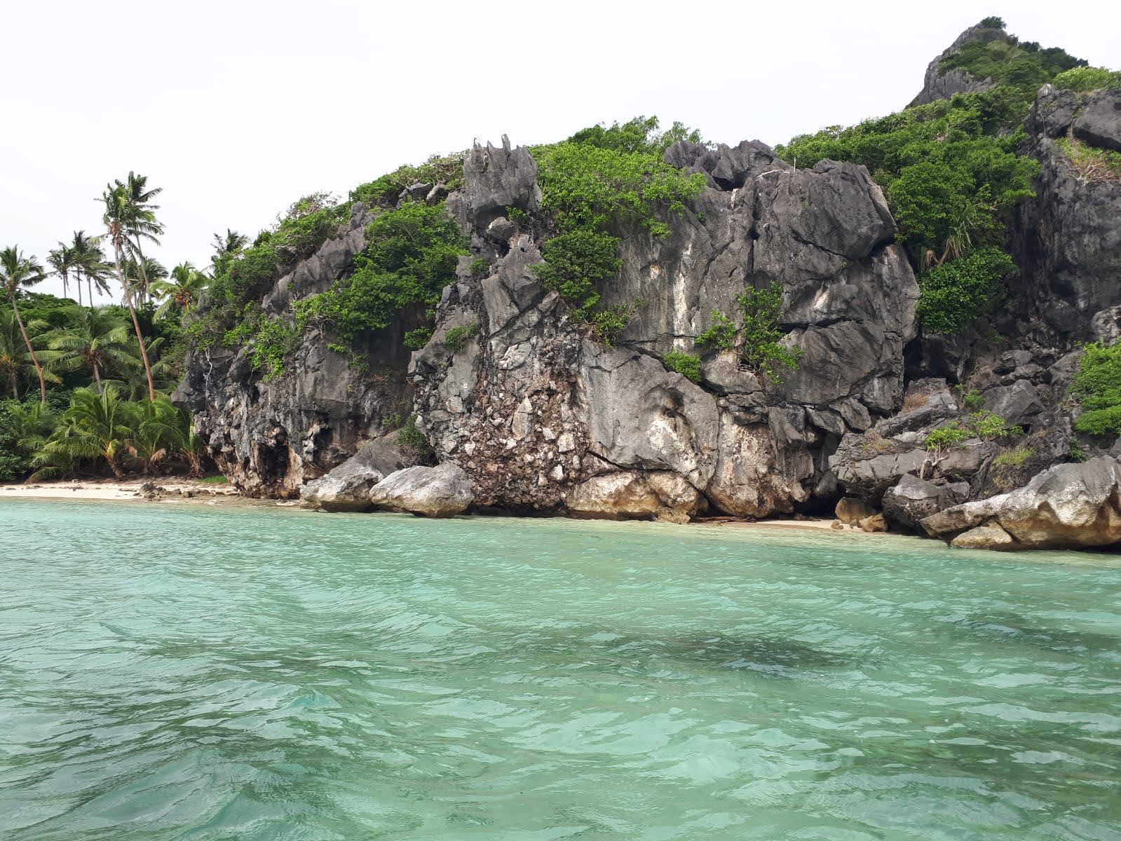 Foto Tonga #4